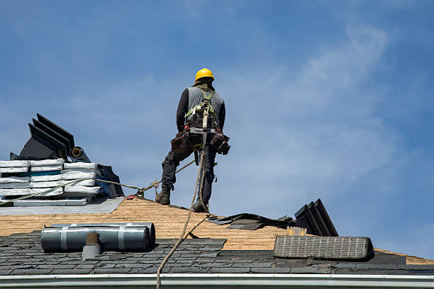 Professional Storm Damage Roof Repair technician working in Elwood, IL